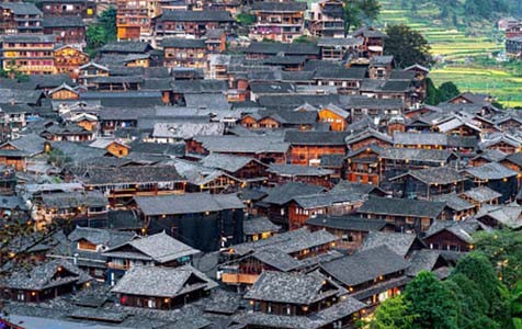 东坡乡村别墅的靠谱依赖